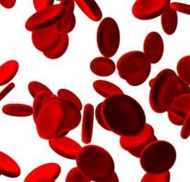 New Genetic Findings for Rare Blood Cancers