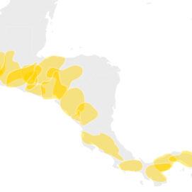 Indigenous Central American Ancestry