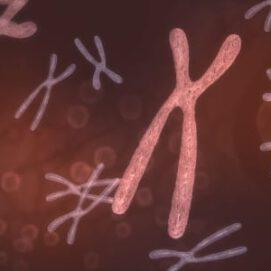First Estimates for Uniparental Disomy, a Rare Genetic Phenomenon