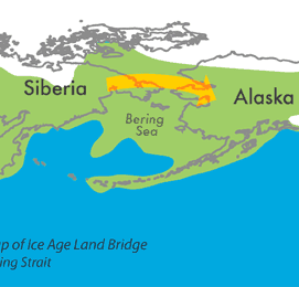 Peopling of the Americas (Times Two)