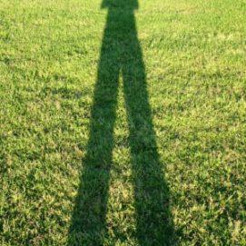 Giant Study Offers Insights into the Genetics of Height