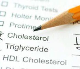 Mind + Body Wellness — Cholesterol