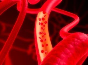 bloodtravel