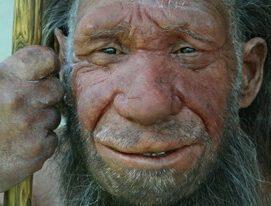 The Neanderthal Advantage