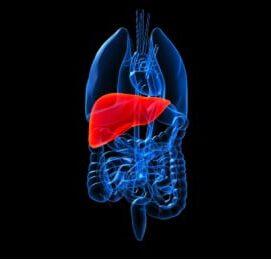 Researchers Identify Genetic Variant That May Affect Liver Cancer Risk in Those Chronically Infected with Hepatitis B Virus