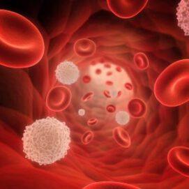 The Jist on JAK2 and Myeloproliferative Neoplasms