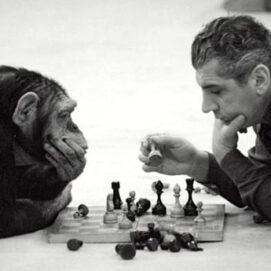 What Makes Us Human? Study Finds Hints By Comparing Chimp and Human DNA