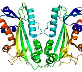 Enzyme Deficiency May Protect Against Serious Hepatitis C Treatment Side Effect