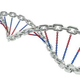 More Common Genetic Variants Associated with Risk of Pancreatic Cancer