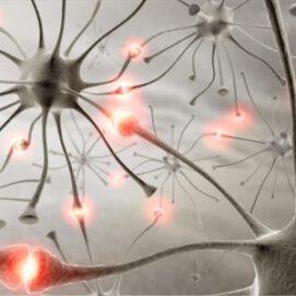 This is Your Brain on Retrotransposons