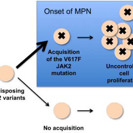 Novel Genetic Findings for Myeloproliferative Neoplasms