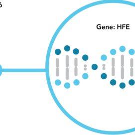 Updated Results for Hereditary Hemochromatosis