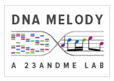 DNA Melody, Play it Again