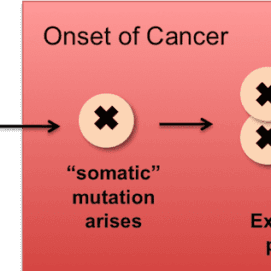 The Molecular Barcode of Cancer – Targeting Treatment to Patient