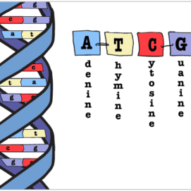 Some Basics About Using 23andMe