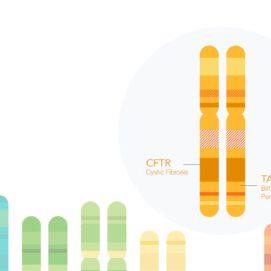 The New 23andMe Experience