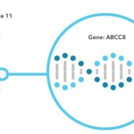 23andMe Adds A New Carrier Status Report on Familial Hyperinsulinism