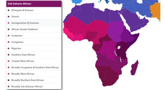 Uncovering African Ancestry: A Deep Dive into Your Roots with 23andMe