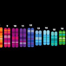New Genetic Groups in Eastern Europe