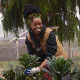 Growing Community through Community Farming