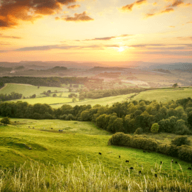 New Historical Matches could connect you a lineage of Iron Age Celtic Women in Britain