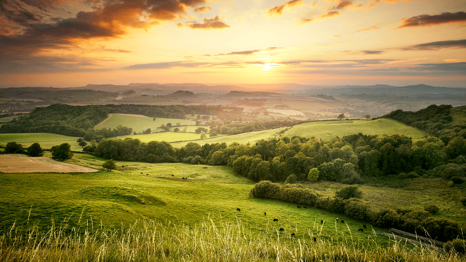 Durotriges were a celtic tribe in the pre-Roman Britain