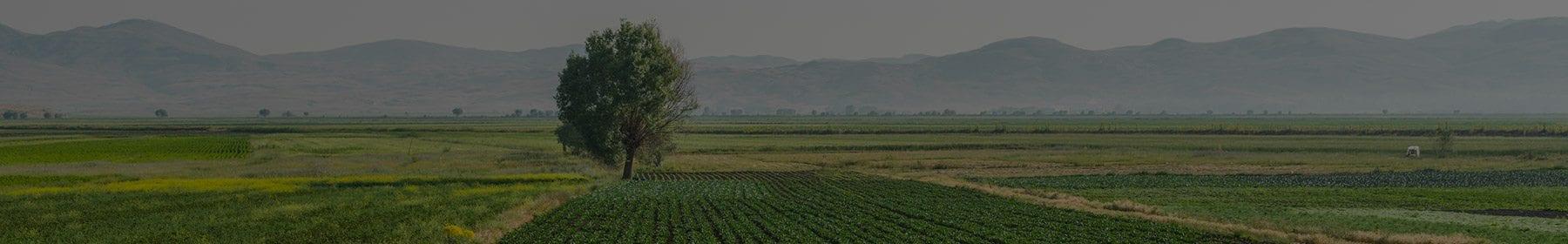 Mom’s Experience Can Affect Your Genes