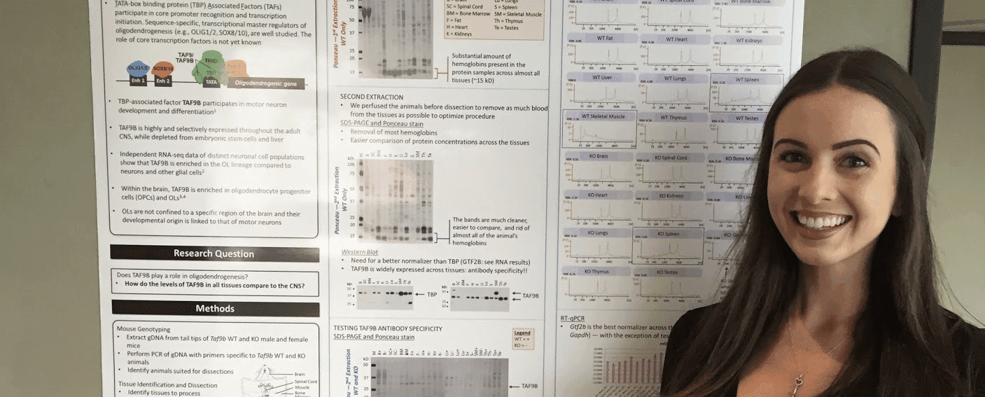 An Undergraduate’s Guide to Gaining Research Experience
