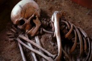 Exploring Ancient DNA Insights