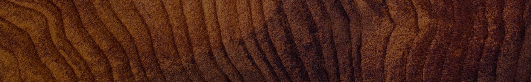 The Paternal-Line Story Written In Your DNA