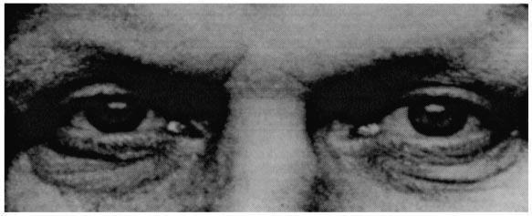 The Genetics of Empathy