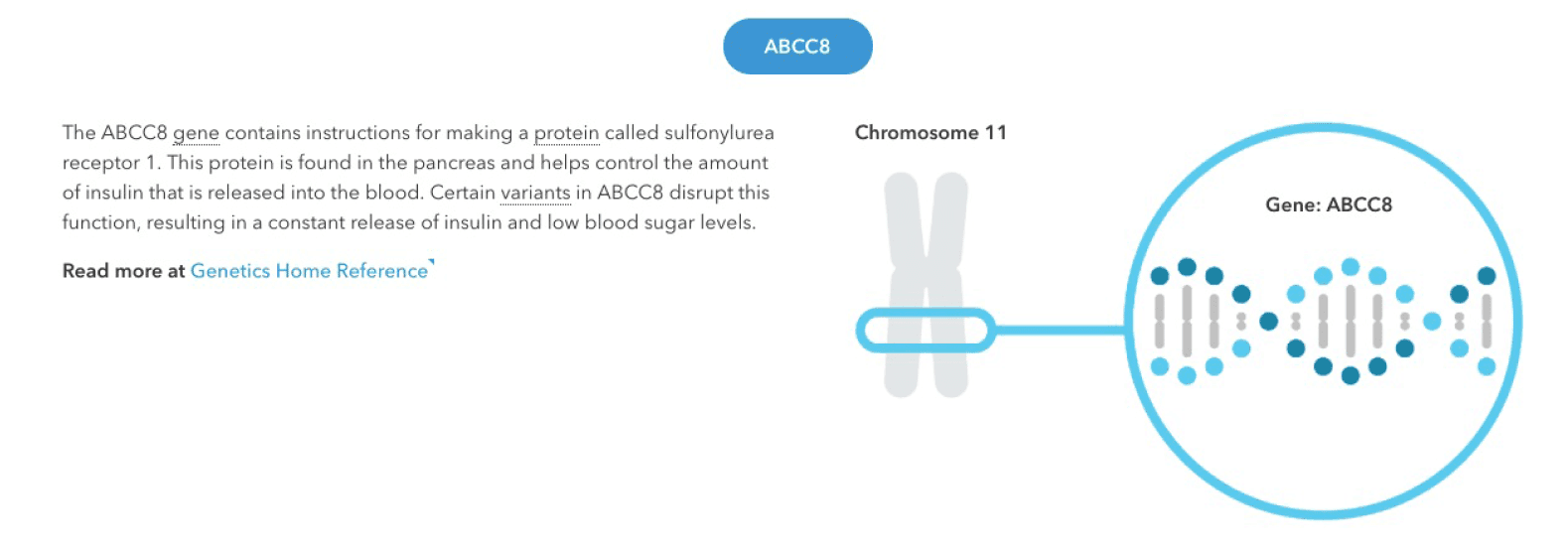 23andMe Adds A New Carrier Status Report on Familial Hyperinsulinism