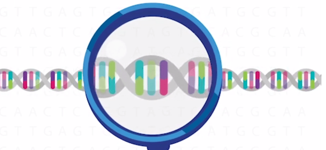 New ways to discover your DNA