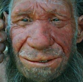 Our Neanderthal Cousins
