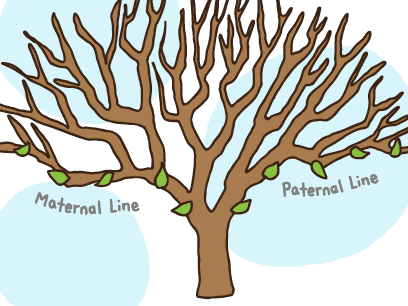 Don’t just settle for two branches of your family tree…