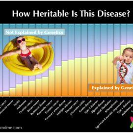 Quiz Answers: Heritability Demystified