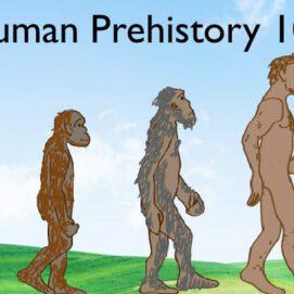 Back-to-School: Human Prehistory 101 Test Results