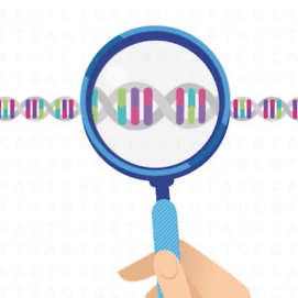 New ways to discover your DNA