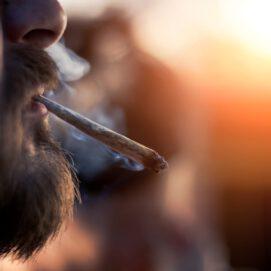 Scientists Identify Genes associated with Cannabis Use