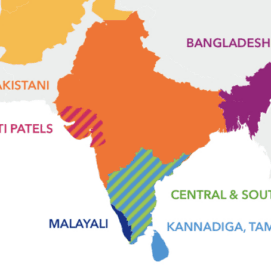 23andMe Tests New Ancestry Breakdown  in Central and South Asia