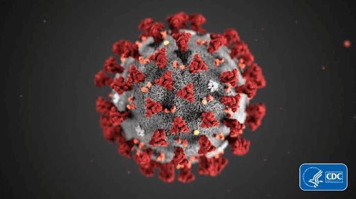 CDC Image of Coronavirus