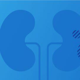 23andMe Offers a New Report on APOL1-Related Chronic Kidney Disease