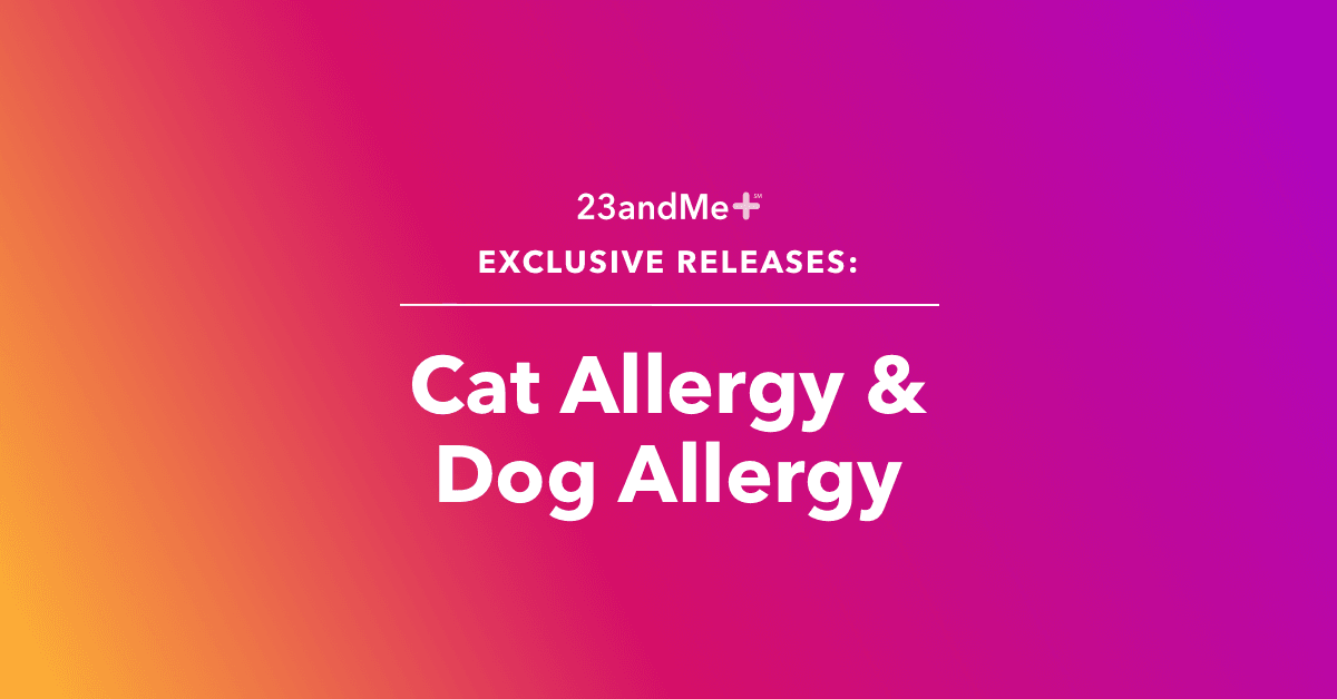 Cat allergy Dog allergy 1200×628