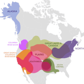 A new analysis sheds light on some customers’ Indigenous genetic ancestry from North America