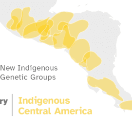 23andMe Adds More Detail for Indigenous Central American Ancestry