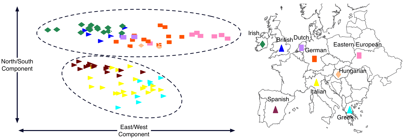 The Genetic and Geographic Structure in Europe