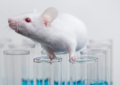 Surprisingly Skinny Mice Could Point the Way to Obesity and Diabetes Treatments
