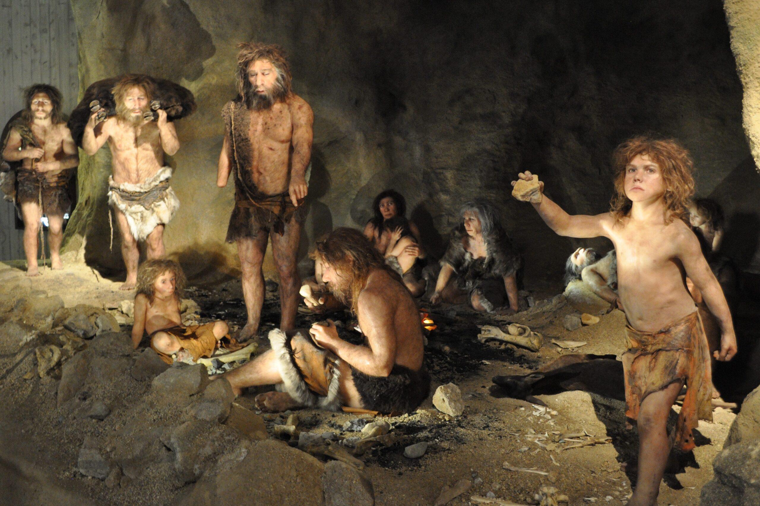 The Neanderthal Cookbook