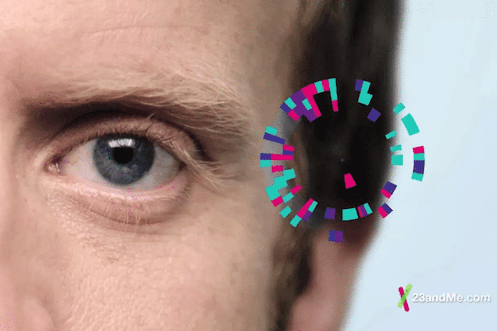 Your Traits Never Looked Better