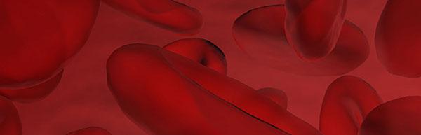 The Genetics of Blood Clots
